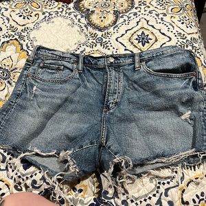 Silver jeans Co cut off shorts
